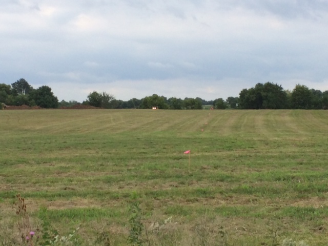 Fox Rivers EstatesWillard, Missouri